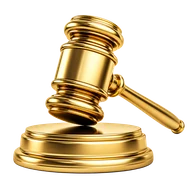 Defensa Penal Integral